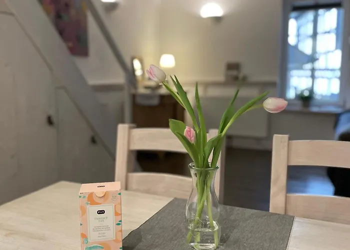 Kleines Altstadt-gaestehaus Mit Garten Und Herz 度假居